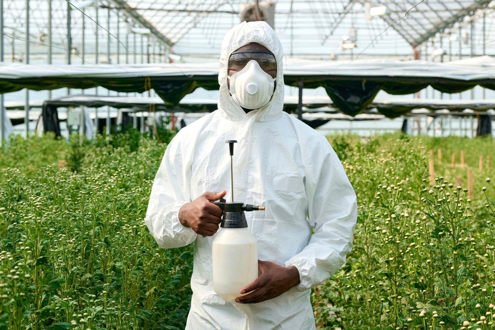 Vendedor técnico y responsable de almacén agrícola · El Punto Eres Tú S.L. · Málaga agricultura técnica y asesoramiento fitosanitario